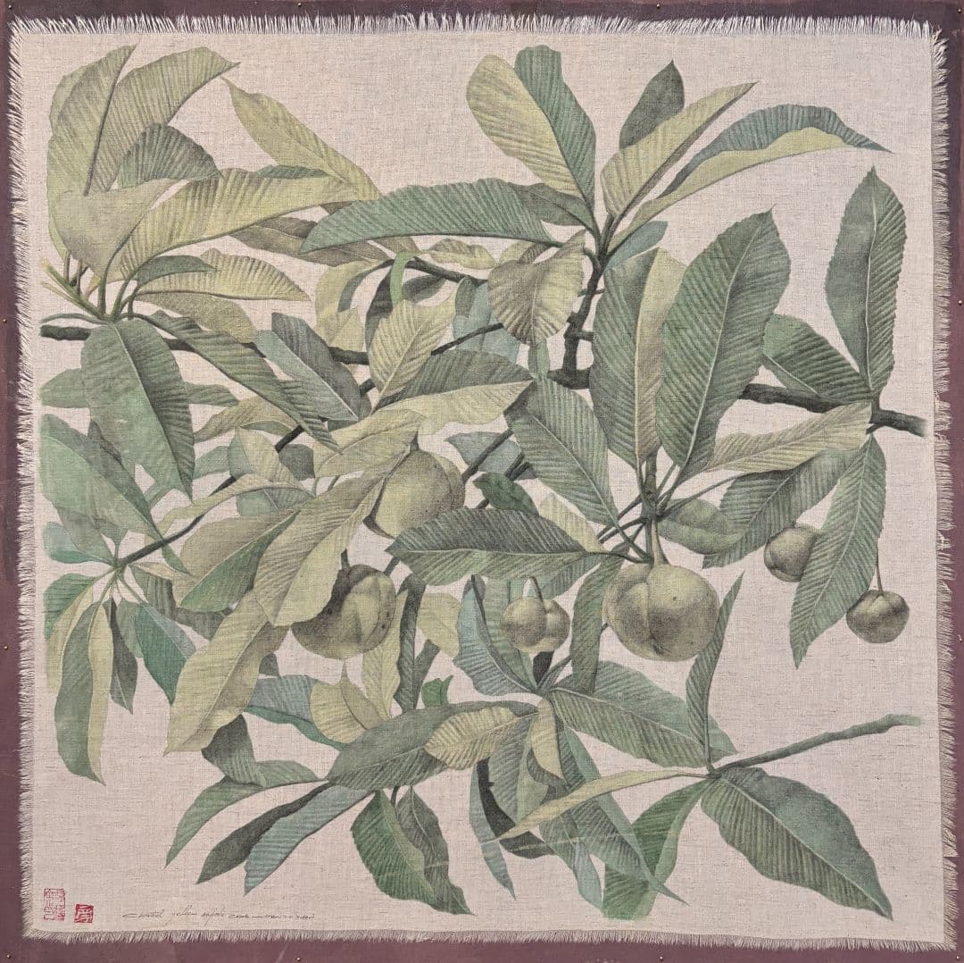 福木黃金果