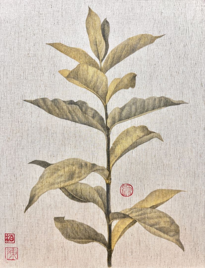 微墨圖鑑19