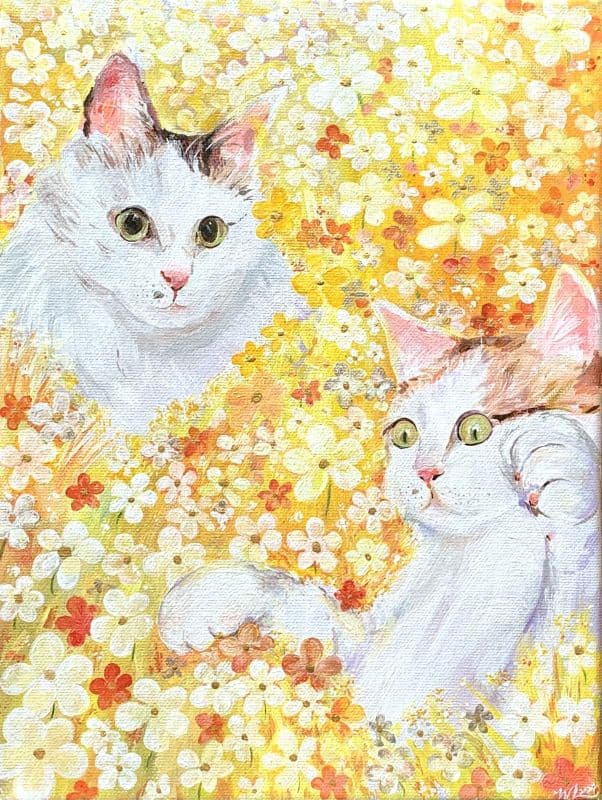 花貓