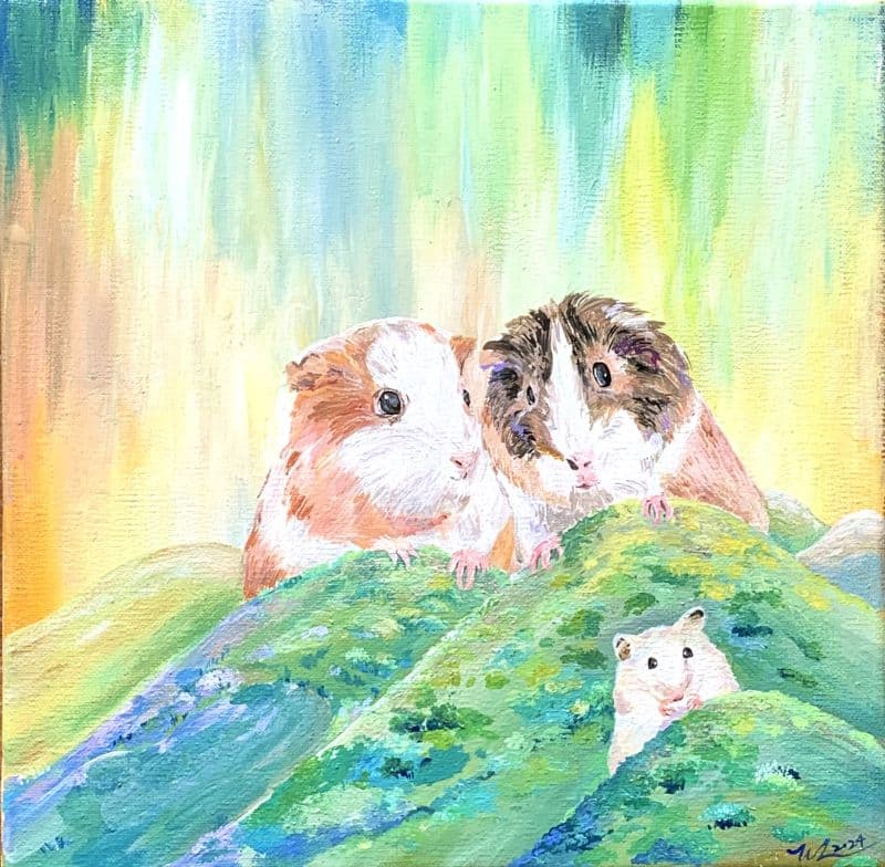 登山者
