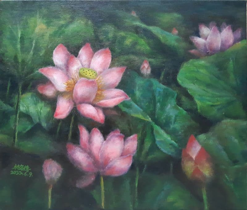 好運蓮連 lotus flower