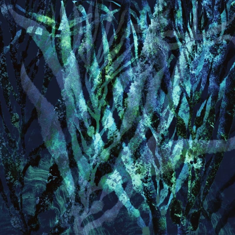 海洋森林(不含框)