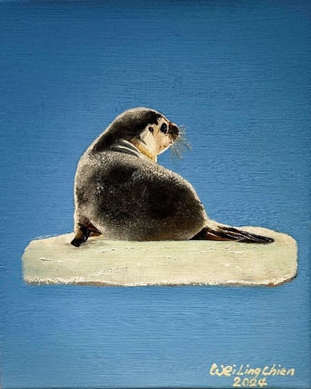 嗨!慢一點Baby seal  - 世界顛沛流離,你一定要找到自己